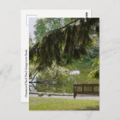 Zierente Postkarte (Vorne/Hinten)