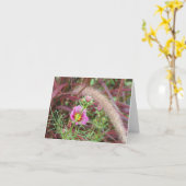 Zierfalle Grass und rosa Kosmos Karte (Gelbe Blume)