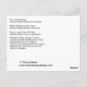 Ziergräser Postkarte (Rückseite)