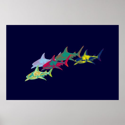 Zierhaie Poster (Vorne)