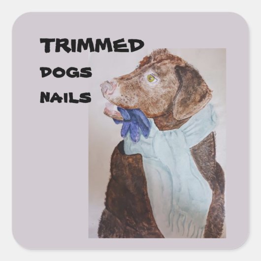 Zierhunde Nägel Klassische Rundkleber Quadratischer Aufkleber (Vorderseite)