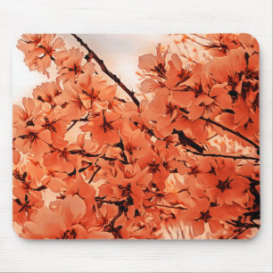 Zierkirschzweige Orange Stilvoll Mousepad
