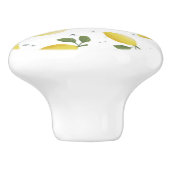 Zierknöpfe für Zitrusfrüchte Keramik Keramikknauf (Seitenansicht)