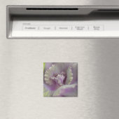 Zierkohl Magnet (In Situ (Geschirrspüler))