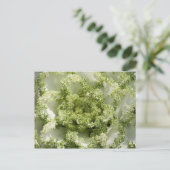 Zierkohl Postkarte (Stehend Vorderseite)