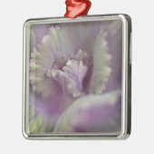 Zierkohl Silbernes Ornament (Links)