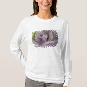 Zierkohl T-Shirt