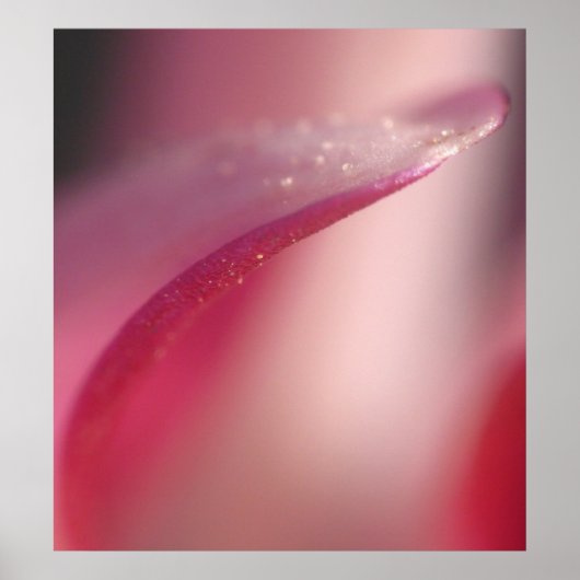 Zierlich Poster (Vorne)