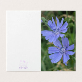 Zierliche Chicorée-Blumenkarte