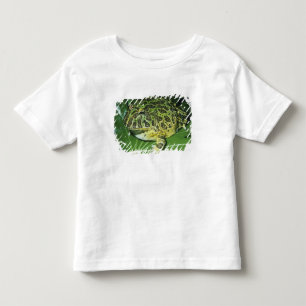 Zierliche Hornfrosch, (Ceratophrys ornata), Kleinkind T-shirt