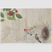 Zierpapier für die Möbel