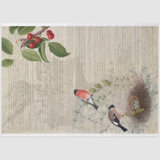 Zierpapier für die Möbel Seidenpapier (Vorderseite)