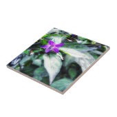 Zierpfeffer Lila Blume Fliese (Seite)