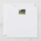 Zierpflanzenkarte (Rückseite)