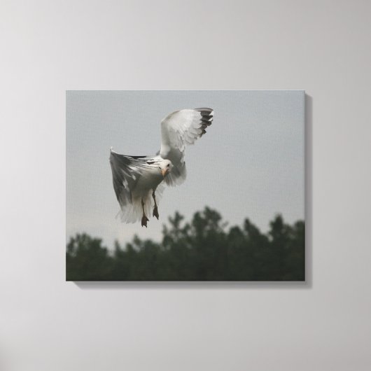 Zig Zag Canvas Print Leinwanddruck (Vorderseite)