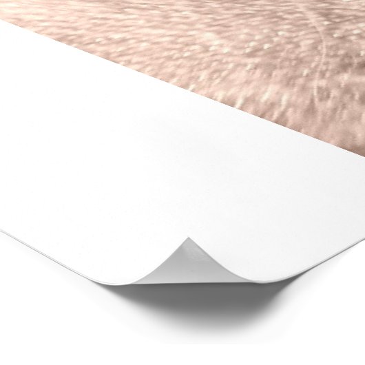 Zigar II Poster (Ecke)