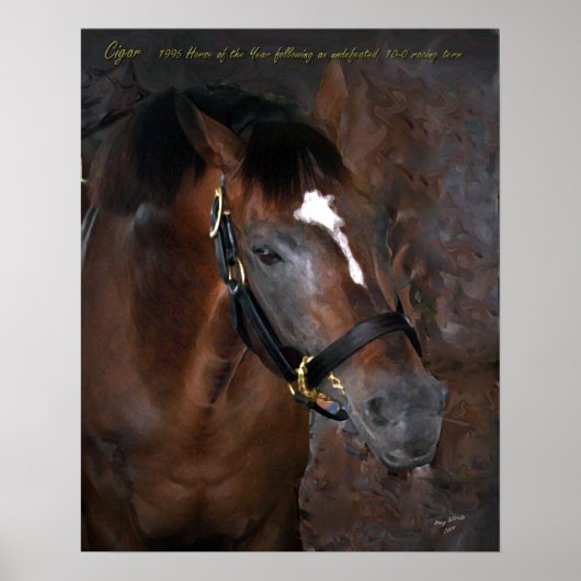 Zigar Poster (Vorne)