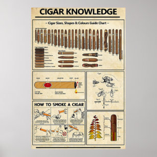 Zigar-Wissen Poster