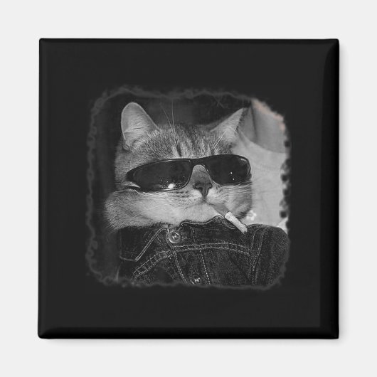 Zigarette Kitten Gang Cat Rauchen Zigarette Funny Magnet (Vorne)