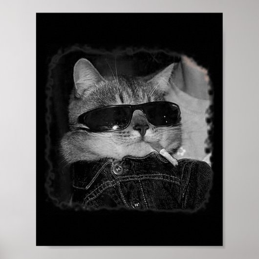 Zigarette Kitten Gang Cat Rauchen Zigarette Funny Poster (Vorne)