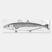 Zigarren-Fische Autoaufkleber (Vorne)