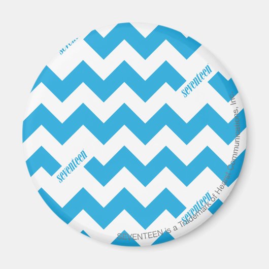 ZigZag Aqua Magnet (Vorne)