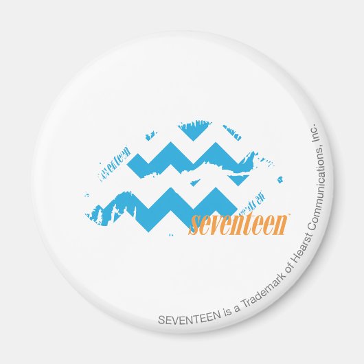 ZigZag Aqua Magnet (Vorne)