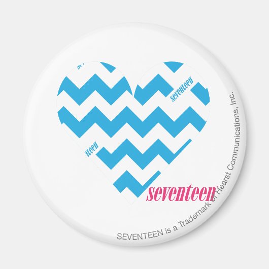 ZigZag Aqua Magnet (Vorne)