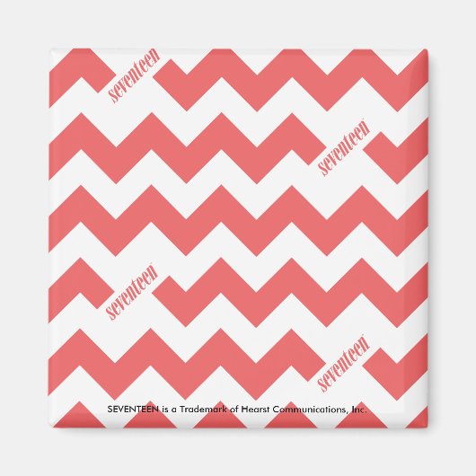ZigZag LtPink Magnet (Vorne)
