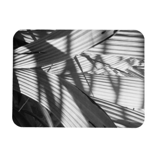 Zigzag Magnet (Horizontal)