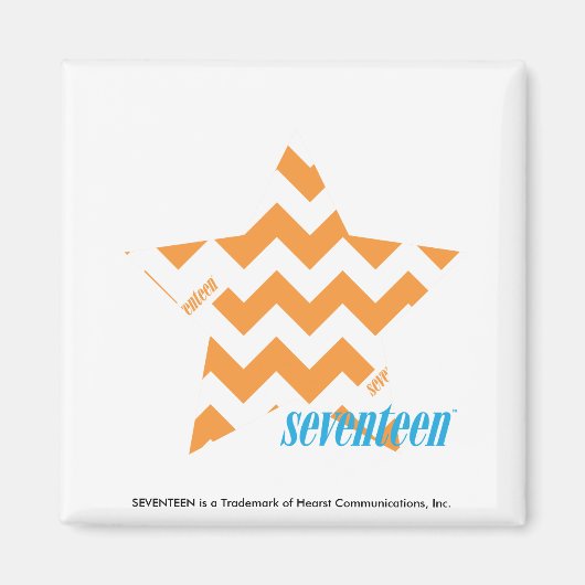 ZigZag Orange 3 Magnet (Vorne)