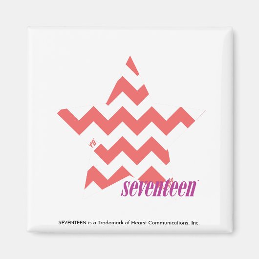 ZigZag Pink 4 Magnet (Vorne)