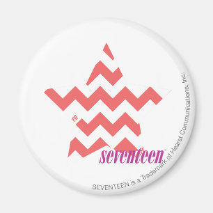ZigZag Pink 4 Magnet