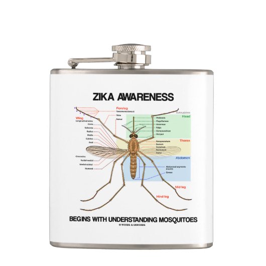 Zika Bewusstsein fängt an, Moskitos zu verstehen Flachmann (Vorderseite)