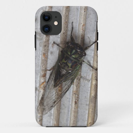 Zikade auf deinem Handyhülle Case-Mate iPhone Hülle (Rückseite)