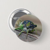 Zikade Button (Vorne & Hinten)