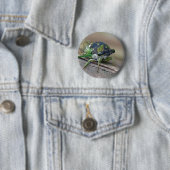 Zikade Button (Beispiel)