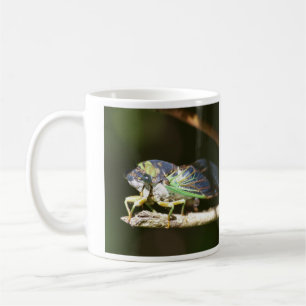 Zikade Kaffeetasse