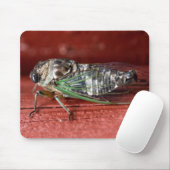 Zikade Mousepad (Mit Mouse)