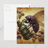 Zikade Postkarte (Vorne/Hinten)