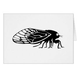 Zikaden - Cigales - Magicicadas - Sommer-Summen