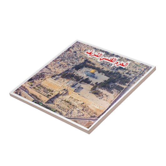 zIL008 TEMPLE MOUNT, Israel, Naher Osten, Fliese (Seite)