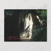 Zilker Botanical Gardens, Austin TX Postkarte (Vorderseite)