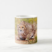 Zimbabwe cheetah Coffee Tasse (Mittel)