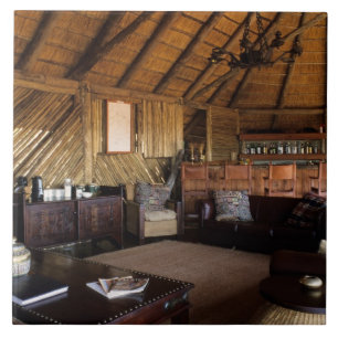 Zimbabwe, Hwange National Park, Linkwash Lodge. Fliese