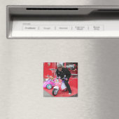 Zimmer Magnet (In Situ (Geschirrspüler))