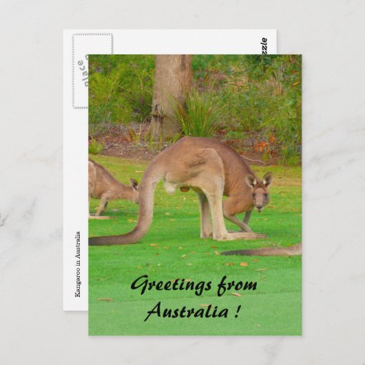 Zimmer Postkarte (Vorne/Hinten)