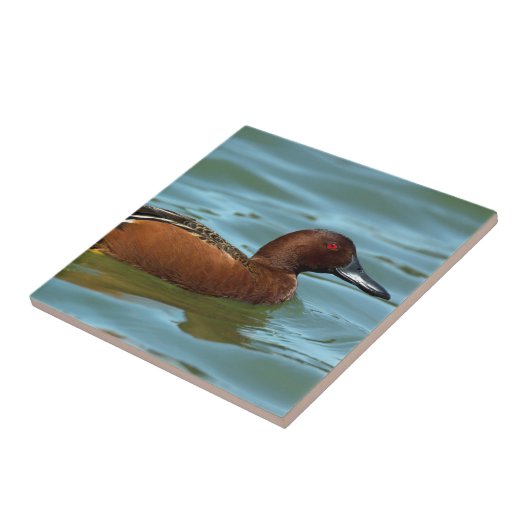 Zimt aquamarin fliese (Seite)