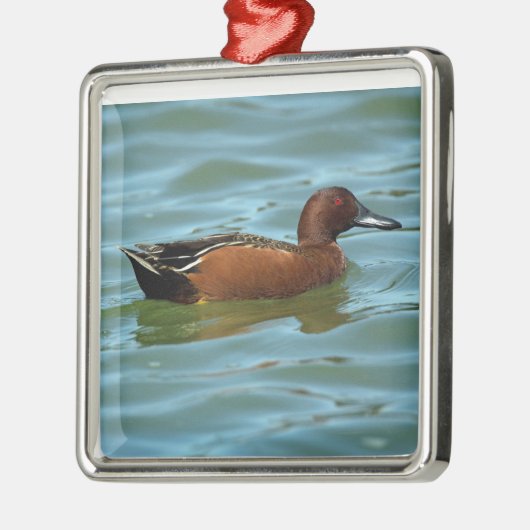 Zimt aquamarin silbernes ornament (Links)