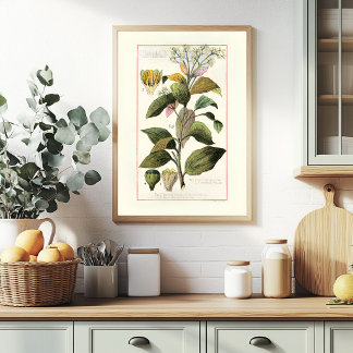 ZIMT - BOTANISCHE VINTAGE-ILLUSTRATION POSTER